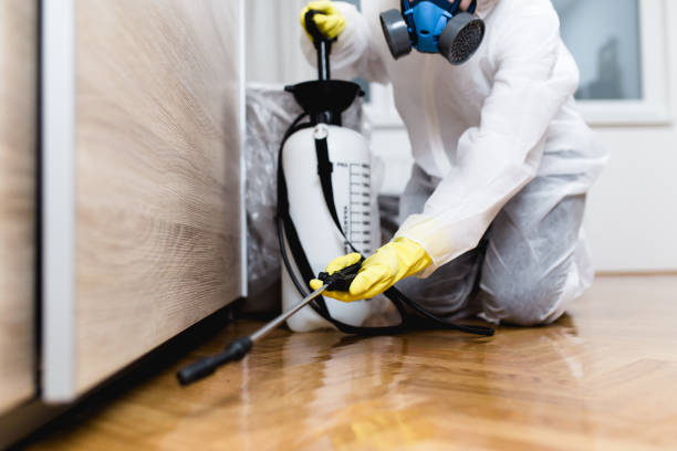 Flea Control Services in New Oxford, PA