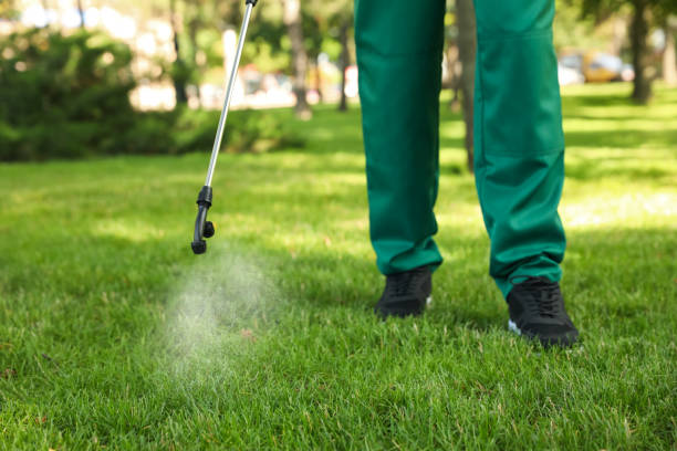 Best Flea Control Services  in New Oxford, PA