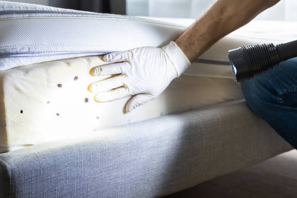 Best Pest Inspection Near Me  in New Oxford, PA