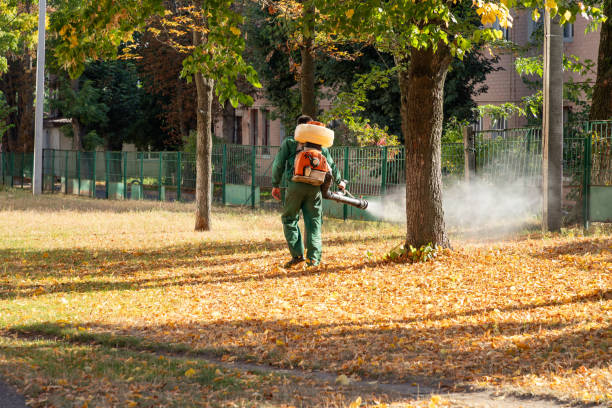 Best Mosquito Control Services  in New Oxford, PA