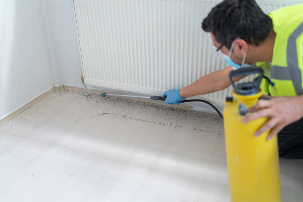 Best Wasp Removal Services  in New Oxford, PA