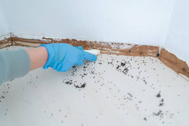 Wildlife Control Services in New Oxford, PA
