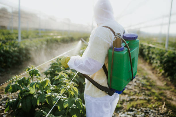 Best Pest Control Near Me in New Oxford, PA